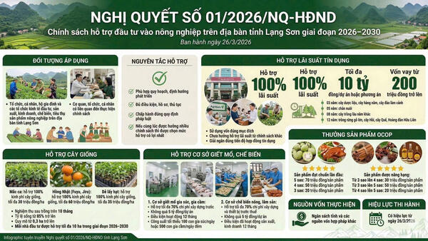 Nghị quyết số 01/2026/NQ-HĐND tỉnh Lạng Sơn