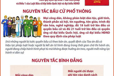 NGUYEN_TAC_BAU_CU_DBQH_VA_DBHDND_CAC_CAP_1_86254