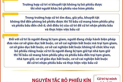 NGUYEN_TAC_BAU_CU_DBQH_VA_DBHDND_CAC_CAP_5dc07