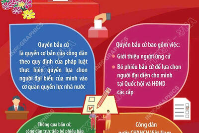 z7728103925672_206f9a7dd7da916747ca9a7b3abe6973_cc442