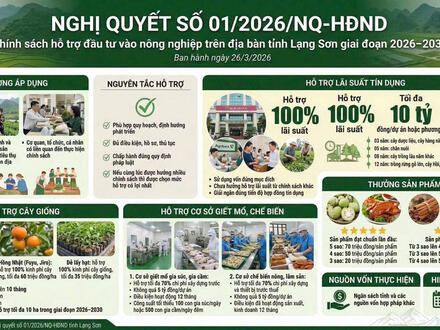 Chính sách mới có hiệu lực